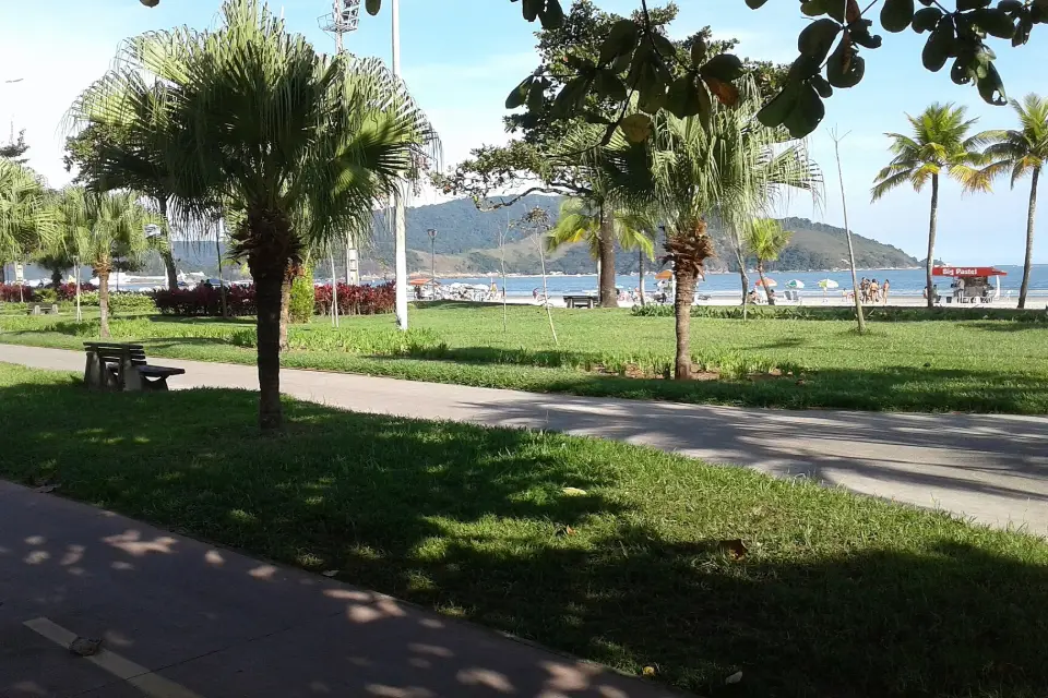 Jardim da orla de Santos com palmeiras e gramado de frente para a baía