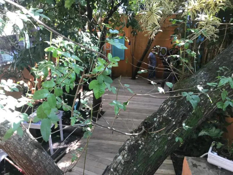 Canto das Laranjeiras Tombo: foto 106